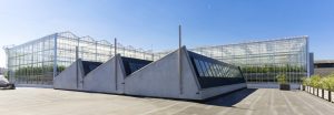 EVENT – Baralo « The network of sustainable aquaponic farms »